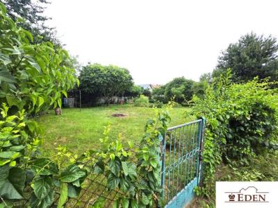 eden_pl_ms_1084_13.jpg