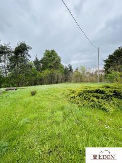 eden_pl_ds_1024_10.jpg