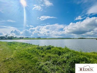eden_pl_ds_1028_7.jpg