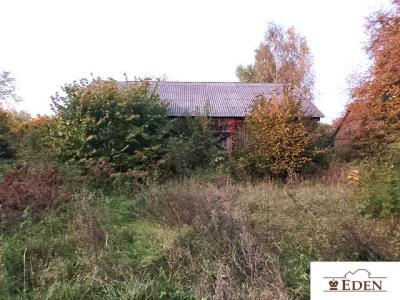 eden_pl_ds_1069_9.jpg