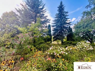 eden_de_ds_1099_10.jpg