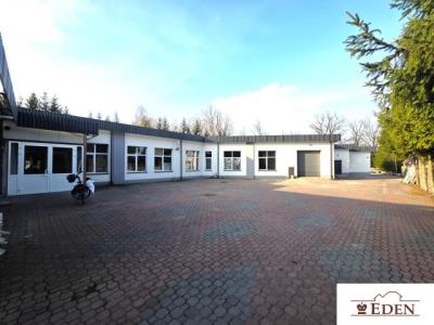 eden_de_ls_998_10.jpg