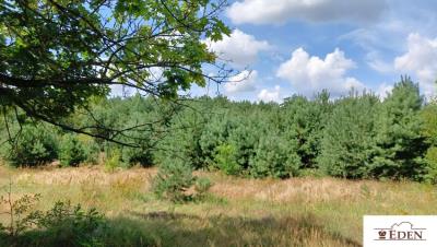 eden_de_zs_1016_17.jpg