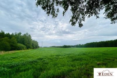 eden_pl_zs_1036_10.jpg