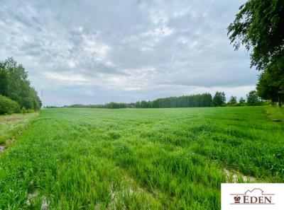 eden_pl_zs_1036_9.jpg