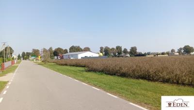 eden_de_zs_967_4.jpg